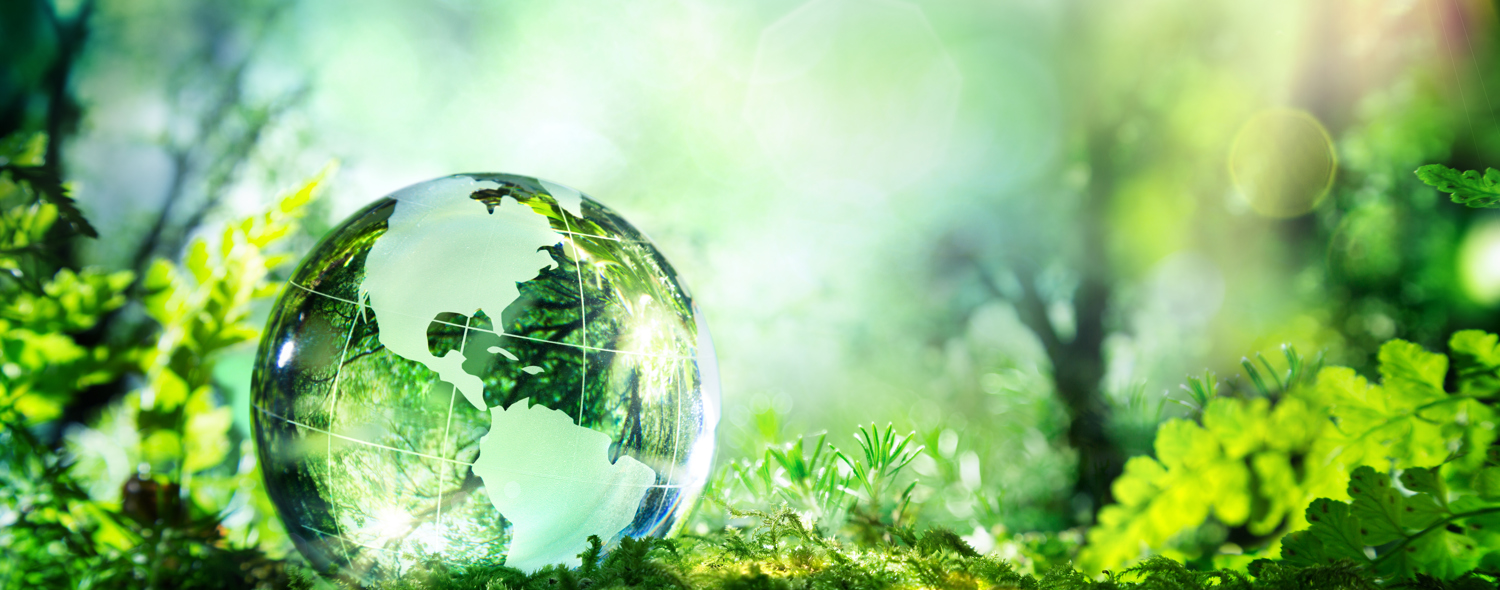 Biodiversity and Climate Change - #TimeForNature