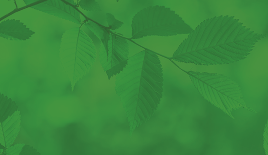 GL Hearn sponsor the Good Parks for London report for a 4th consecutive year