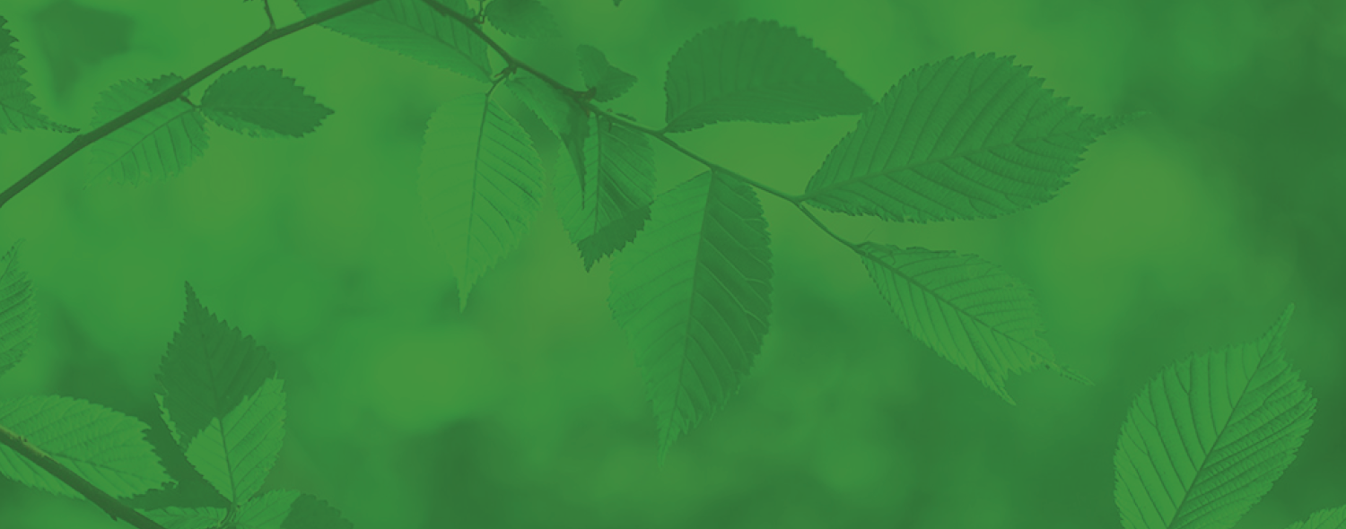 GL Hearn sponsor the Good Parks for London report for a 4th consecutive year